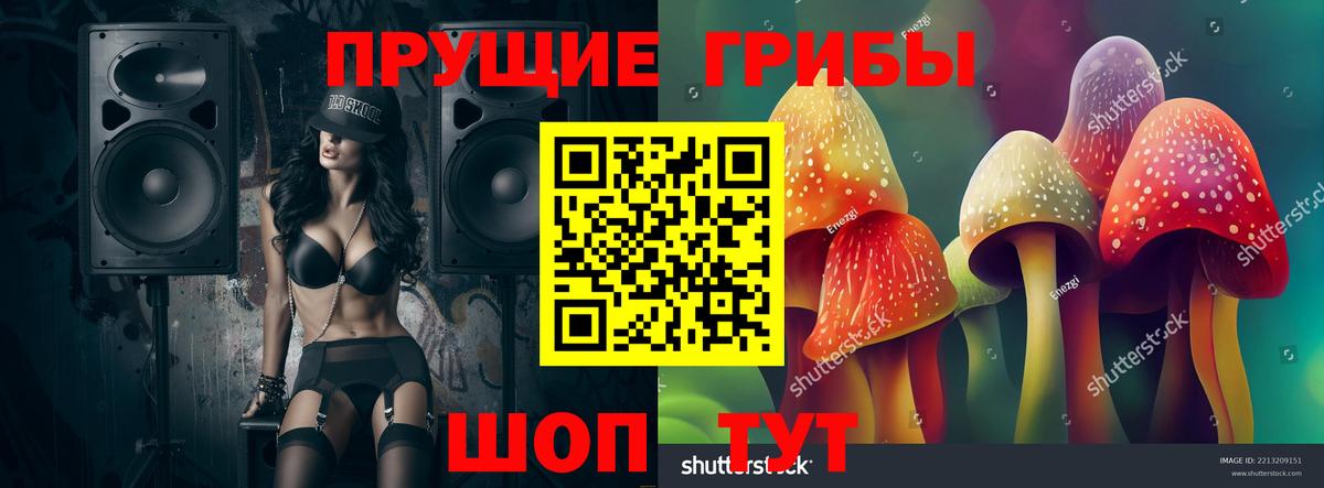 Галлюциногенные грибы MAGIC MUSHROOMS Назрань